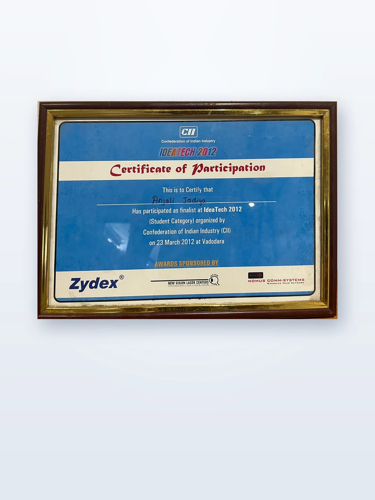 CII IdeaTech 2012 — Finalist